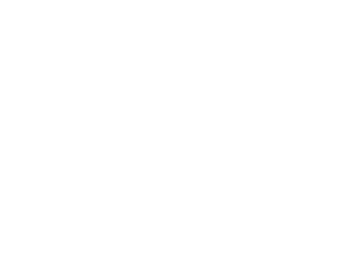 ICAS partner