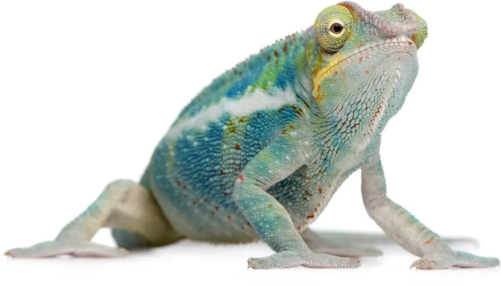 Contact Rutherford Cross