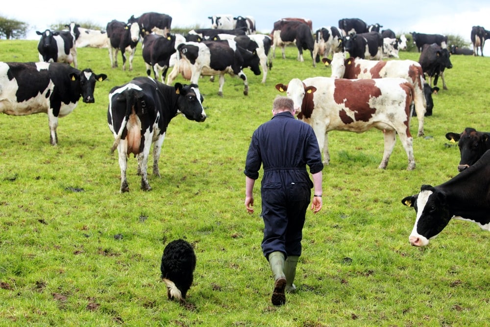 Finance jobs at First Milk