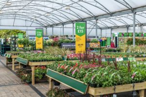 Debbie's Garden Centres Finance Jobs