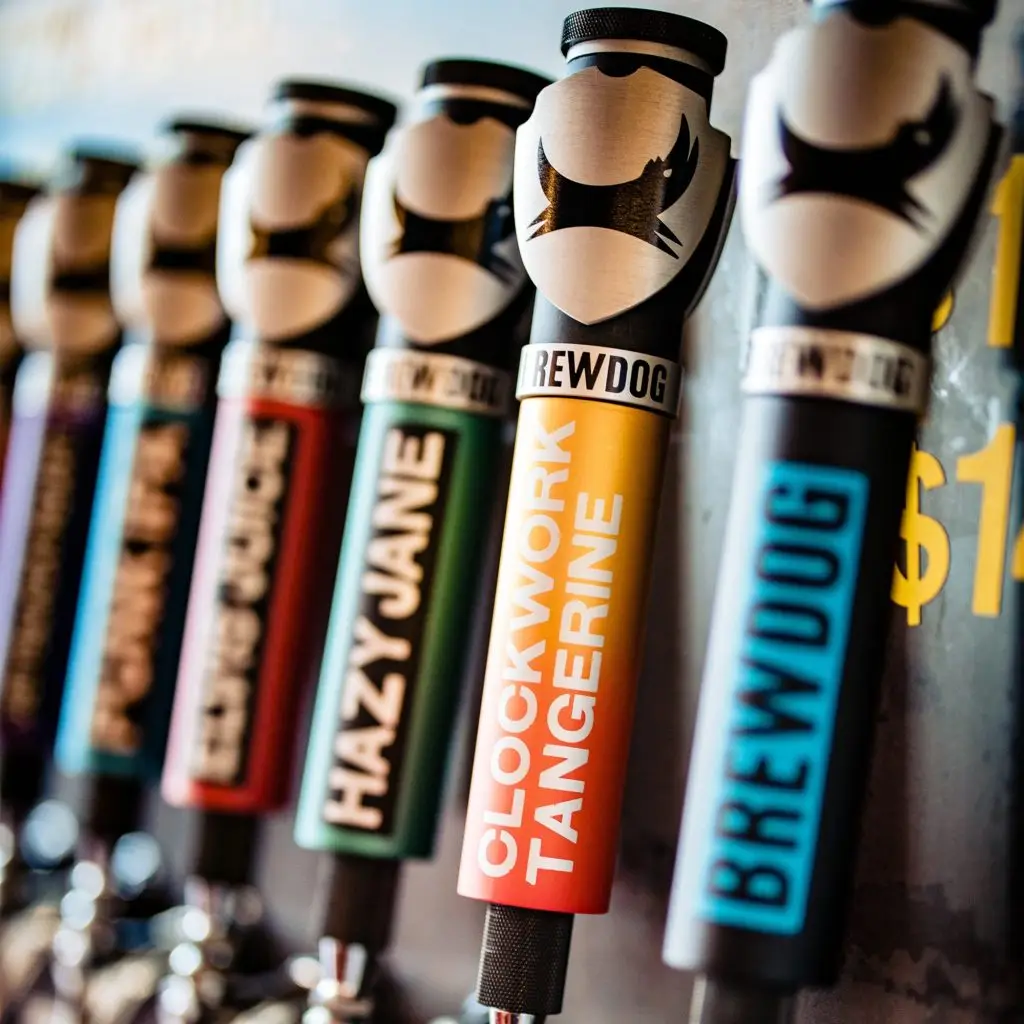 Finance opportunities at Brewdog